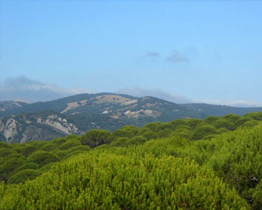 Asomadillas Alconorcales Natural Park